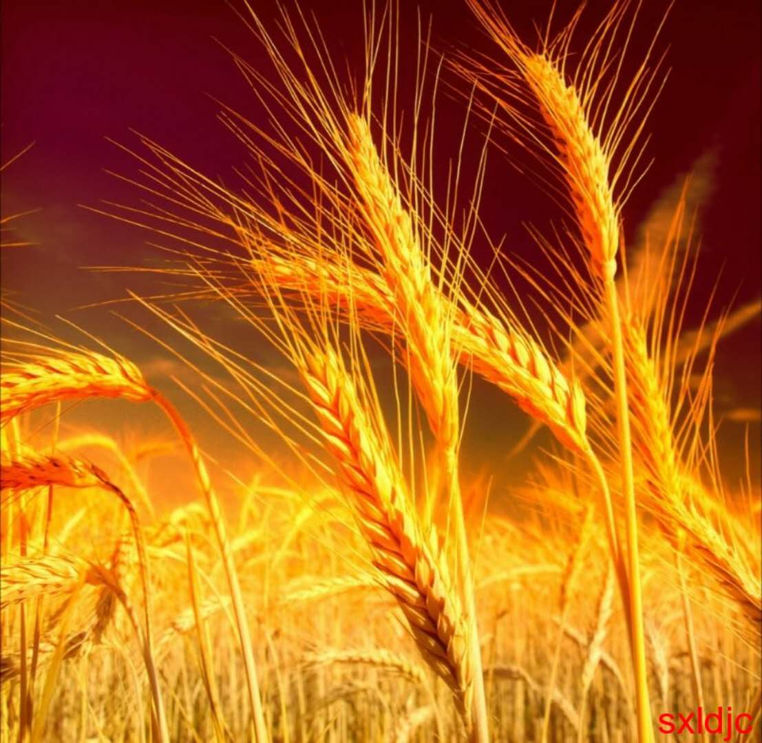 微信图片_20180921072642.jpg 微信图片_20180921072642.jpg